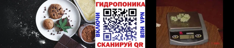 Canna-Cookies конопля сколько стоит Пугачёв