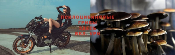 прущая мука Армянск