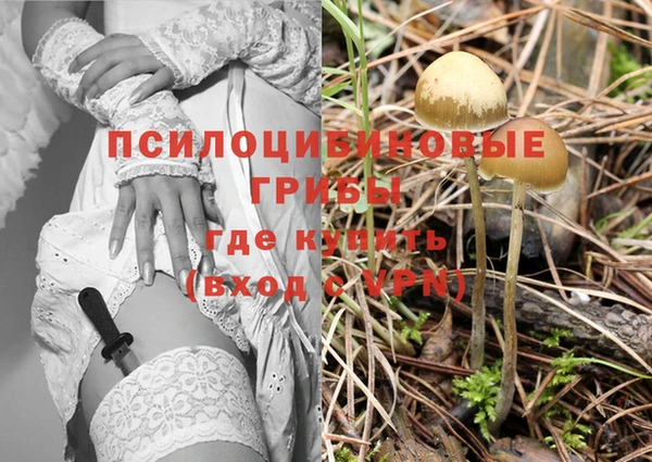 прущая мука Армянск