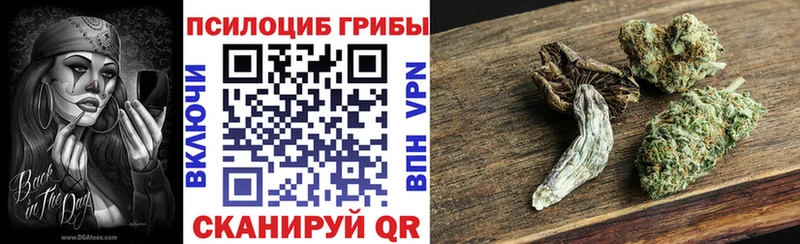 Галлюциногенные грибы GOLDEN TEACHER  KRAKEN вход  Пугачёв 