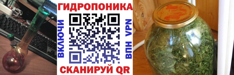 Марихуана индика  Пугачёв 
